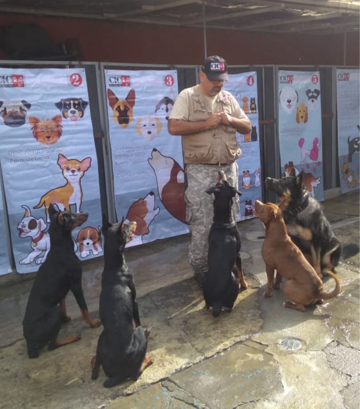 Eduardo perez trejo instructor canino en ixtapaluca