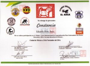 Experiencia de instructor Canino Eduardo Pérez en Centro Integral Canino Ixtapaluca 4