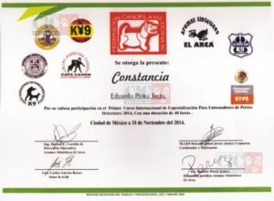 Diversión para perros - Centro integral canino en Ixtapaluca