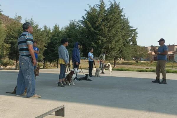 Diversión para perros - Centro integral canino en Ixtapaluca