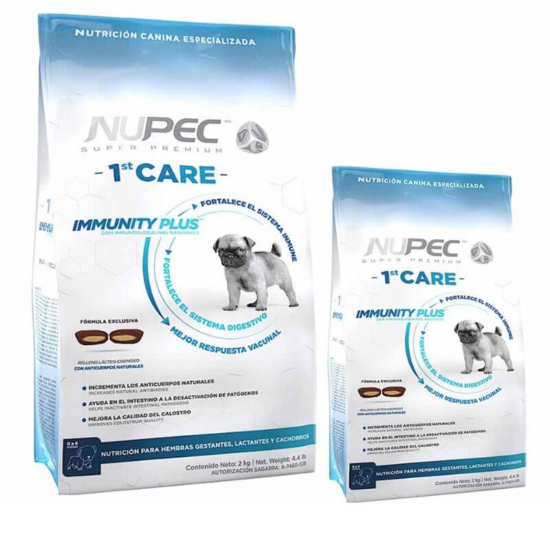 1ST CARE nupec