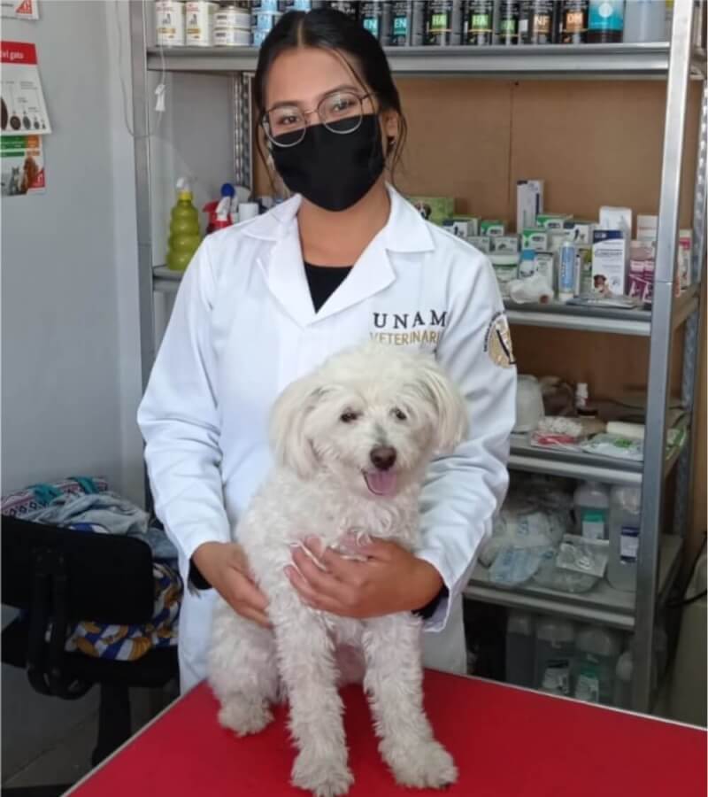 asistente de veterinaria Monica